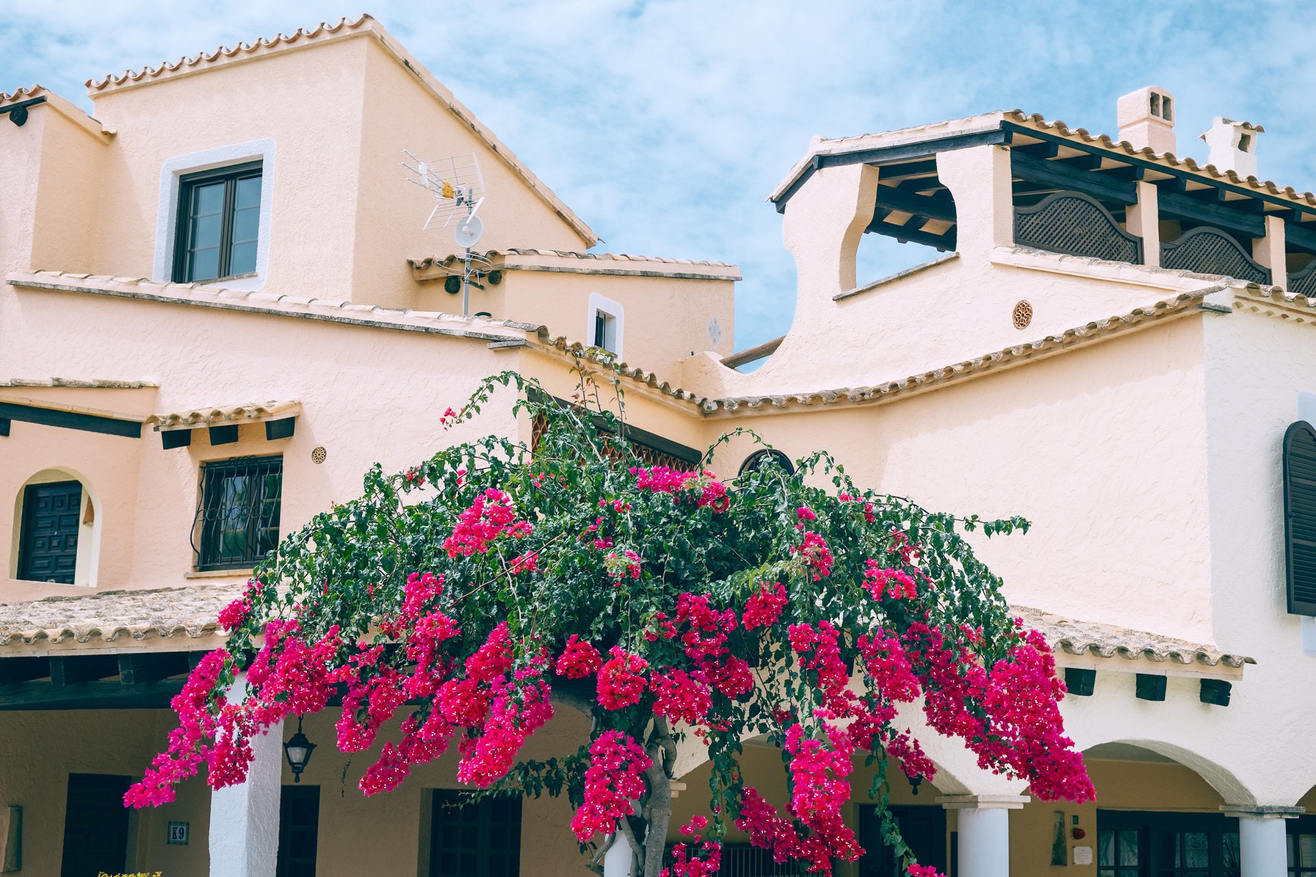 Edificios de paredes claras con tejados de teja, porches, ventanas y una planta de abundantes flores rosas en primer plano.